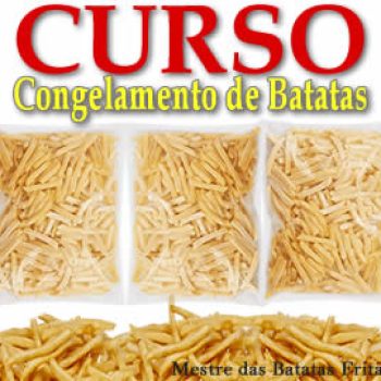 Curso de batata frita congelada